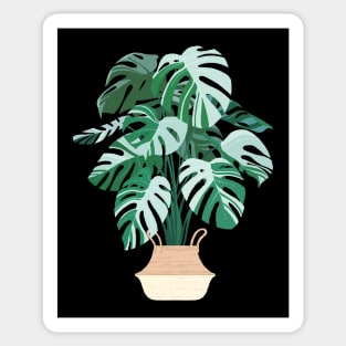 Monstera deliciosa variegata Sticker